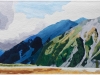 larrea_mtwakefield_full