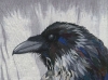 larrea_myinnerraven_full