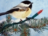 christmaschickadee