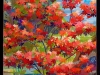 Japanese Maple 2
