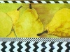 Pears